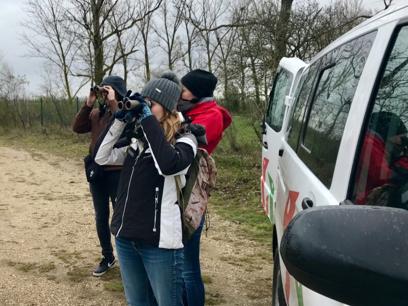 Looking for rare birds in the Neusiedler See-Seewinkel National Park on the eastern edge of the Alps and the western edge of the Pannonian Plain, which attract ornithologists and others from all over the world, including some anthropologists. (photo: F. Graf)